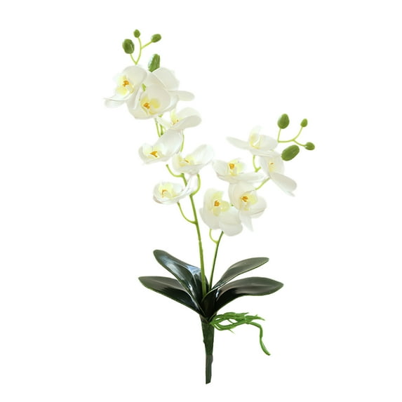 Farfi Fake Flower Simulated No Watering Plastic Colorful Orchid Faux Plant Decor Household Supplies (White)