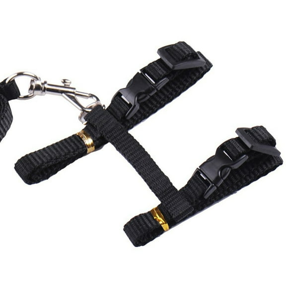 Farfi Pet Cat Rabbit Walking Training Soft Straps Harness Leash Traction Belt Tool (Black)