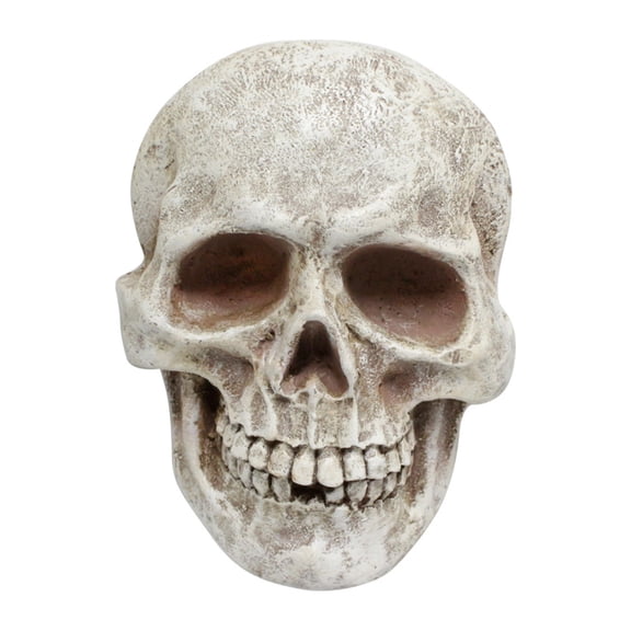 Farfi Realistic Life Size Skull Figure Human Skull Ornament Halloween Decor Resin Horror Statue Waterproof Home Office Yard Decoration