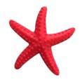 thumbnail image 1 of Farfi Simulation Starfish Lifelike Realistic Plastic Cute Artificial Sea Star for Wall (Rose Red), 1 of 13