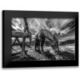 thumbnail image 1 of Faris 24x17 Black Modern Framed Museum Art Print Titled - The Horse, 1 of 5