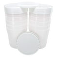 Farm 2.5 Gallon Semitransparent Ice Cream Tub with Lid (White Lid, 10