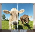 thumbnail image 1 of Ambesonne Farm Animal Curtains 2 Panel Set, Close up Cows, 108" x 84", Apple Green Tan, 1 of 3