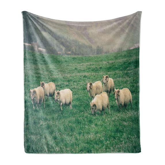 Farm Animal Soft Flannel Fleece Blanket, Husbandry Themed Photo with Sheep Grazing on Grass in Iceland Nature, Cozy Plush for Indoor and Outdoor Use, 70" x 90", Ecru and Fern Green, by Ambesonne