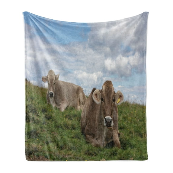 Farm Animal Soft Flannel Fleece Throw Blanket, Agriculture Themed Photo of Resting Cows on Meadow with Cloudy Sky, Cozy Plush for Indoor and Outdoor Use, 50" x 70", Multicolor, by Ambesonne
