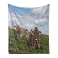 thumbnail image 1 of Farm Animal Soft Flannel Fleece Throw Blanket, Agriculture Themed Photo of Resting Cows on Meadow with Cloudy Sky, Cozy Plush for Indoor and Outdoor Use, 70" x 90", Multicolor, by Ambesonne, 1 of 5