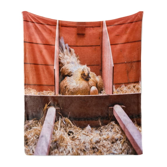 Farm Animal Soft Flannel Fleece Throw Blanket, Husbandry Photo with Laying Hen Incubating Inside Cage and Eggs, Cozy Plush for Indoor and Outdoor Use, 50" x 70", Multicolor, by Ambesonne