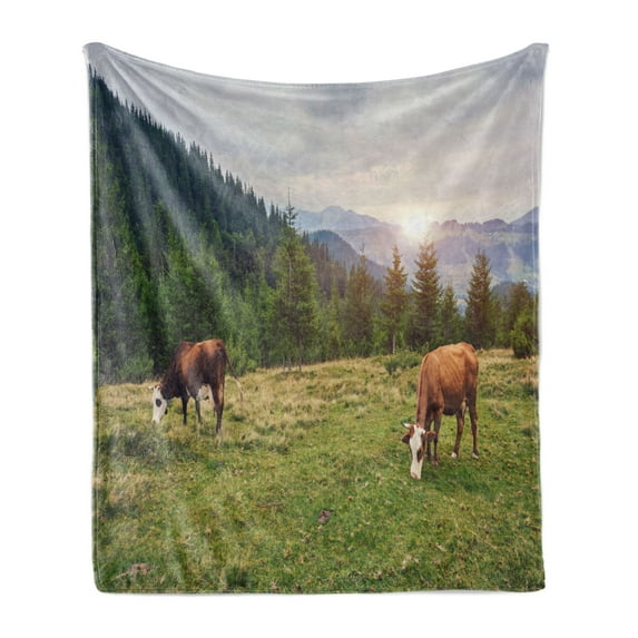 Farm Animal Soft Flannel Fleece Throw Blanket, Nature Landscape with Cows Grazing in Meadow at Sunrise Photo, Cozy Plush for Indoor and Outdoor Use, 50" x 60", Multicolor, by Ambesonne