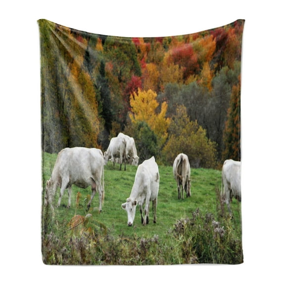 Farm Animal Soft Flannel Fleece Throw Blanket, Photo of Grazing Cows on Hill with Colorful Autumn Trees Agriculture Print, Cozy Plush for Indoor and Outdoor Use, 60" x 80", Multicolor, by Ambesonne