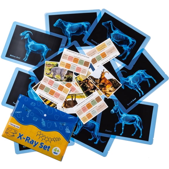 Farm Animal Xrays – 10 Pcs Animal Science Kit for Kids, Light Table Accessories for Vet Role Play & Preschool Learning