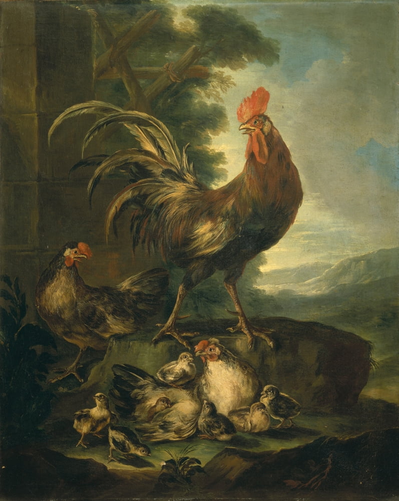Farm Animals A Cock Canvas Art - (18 x 24)