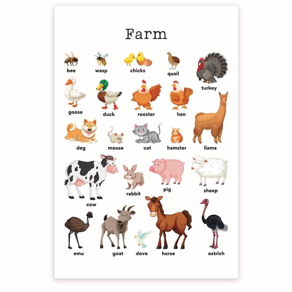 Farm Animals Poster - Learn Different Animals Farm Animal - Poster For Kindergarten PreK