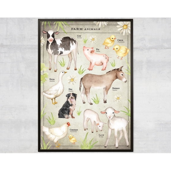 Farm Animals Wall Print, Educational Animal Chart, Unframed Paper Poster 8x10in