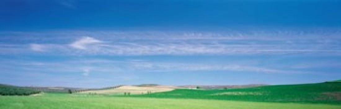Farm Audausia Cordoba vicinity Spain Canvas Art - Panoramic Images (18 x 6)