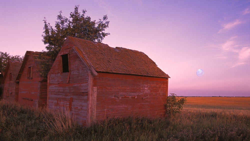 Farm Buildings Canvas Art - Carson Ganci Design Pics (36 x 20)