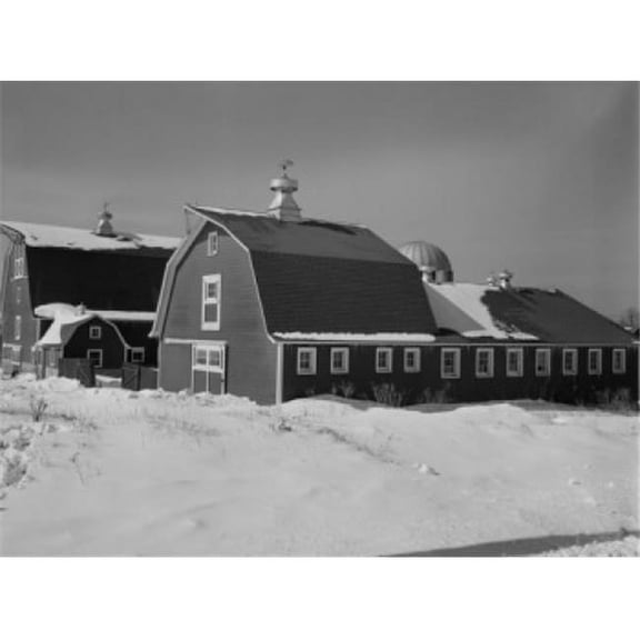 Farm Buildings on Dairy Farm Poster Print - 18 x 24 in.