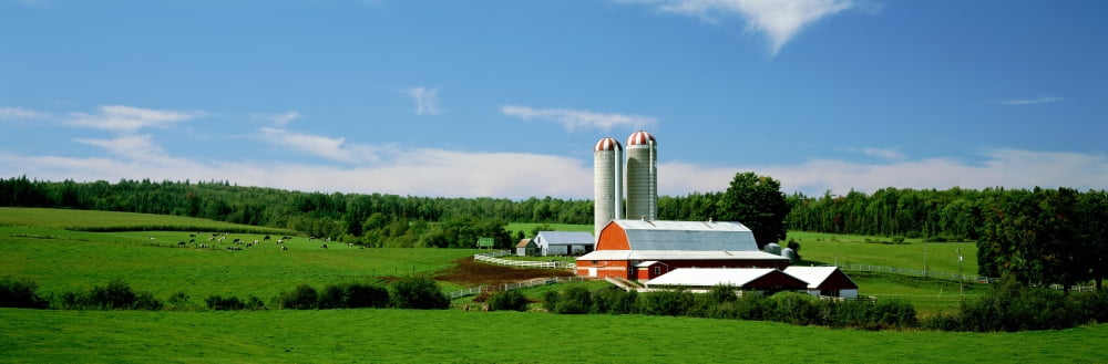 Farm Colchester County Nova Scotia Canvas Art - Ron Watts Design Pics (36 x 12)
