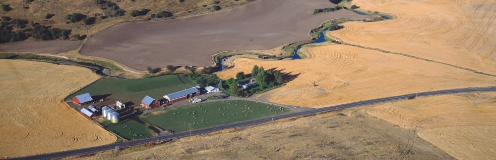 Farm Contour Farming Near Pullman SE Washington Canvas Art - Panoramic Images (36 x 12)
