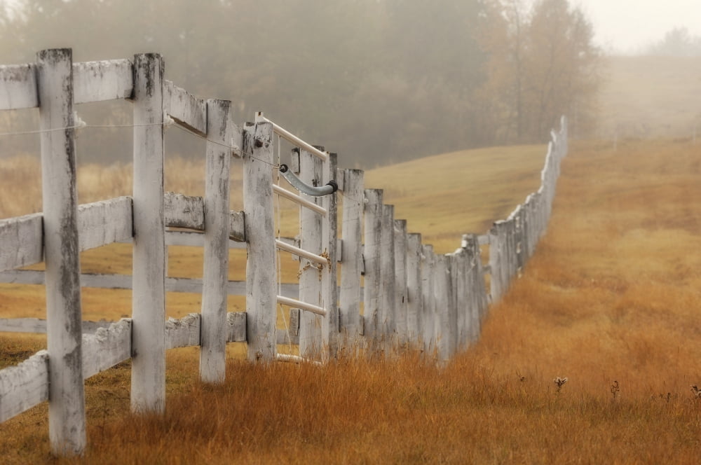 Farm Fence On Foggy Autumn Day Strathcona County Alberta Canvas Art - Peter Carroll Design Pics (17 x 11)
