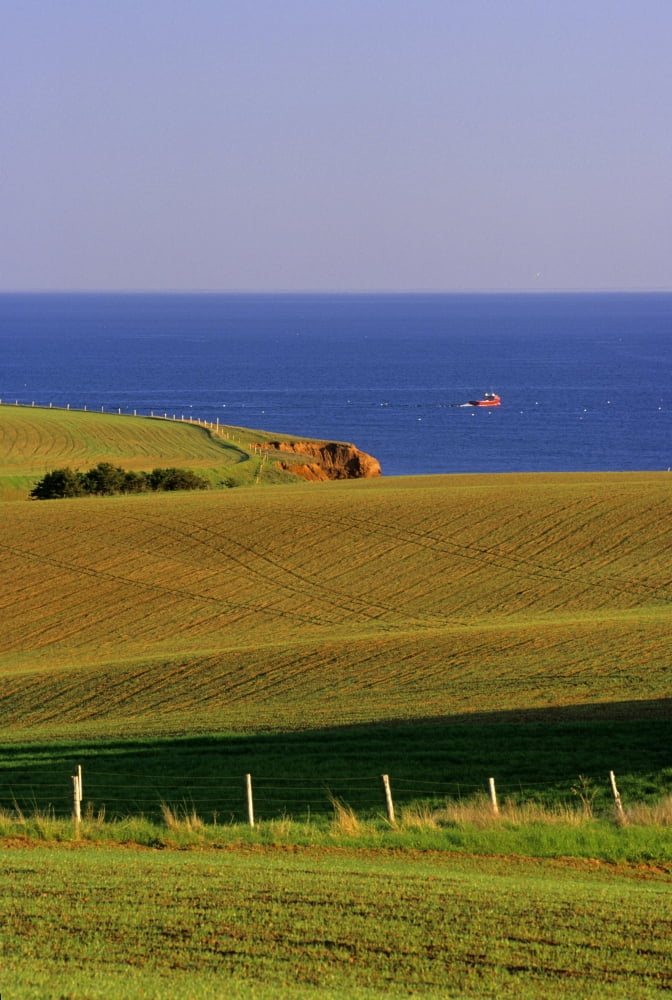 Farm Fields Gulf Of St Lawrence Park Corner Prince Edward Island Canvas Art - John Sylvester Design Pics (11 x 17)