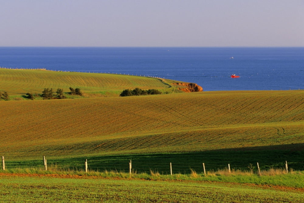 Farm Fields Gulf Of St Lawrence Park Corner Prince Edward Island Canvas Art - John Sylvester Design Pics (17 x 11)