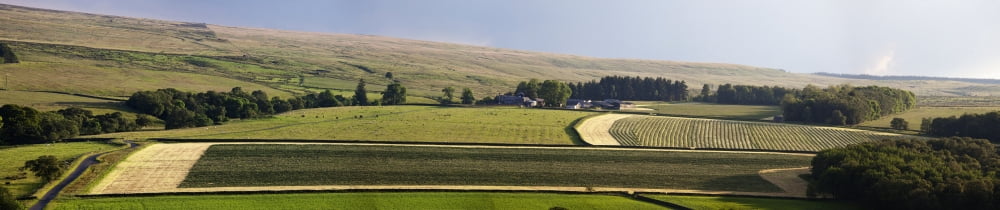 Farm Fields Northumberland England Canvas Art - John Short Design Pics (44 x 9)