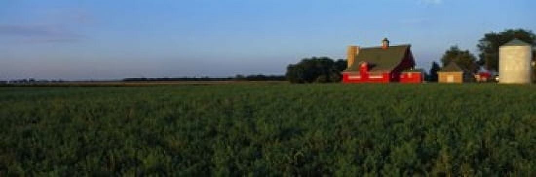 Farm Fields Stelle IL USA Canvas Art - Panoramic Images (18 x 6)