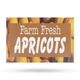 thumbnail image 1 of Farm Fresh Apricots Vinyl Decal 18 Inch x 24 Inch Weatherproof Heavy-Duty Adhesive Backing | Fresh Fruits, Farmer’s Markets, Seasonal Offers | Made in USA, 1 of 6