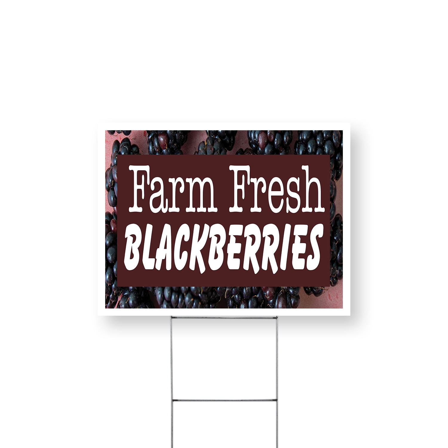 Farm Fresh Blackberries Yard Sign 12 Inch x 16 Inch Single Sided ...