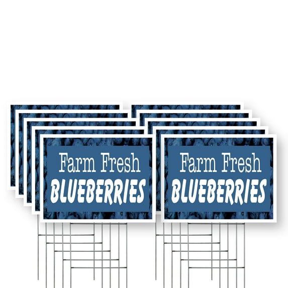Farm Fresh Blueberries Yard Sign 10 Pack of 18 Inch x 24 Inch Double Sided Weatherproof Heavy-Duty Plastic with Stake | Sweet Berries, Farmer’s Market, Seasonal Offers | Made in USA