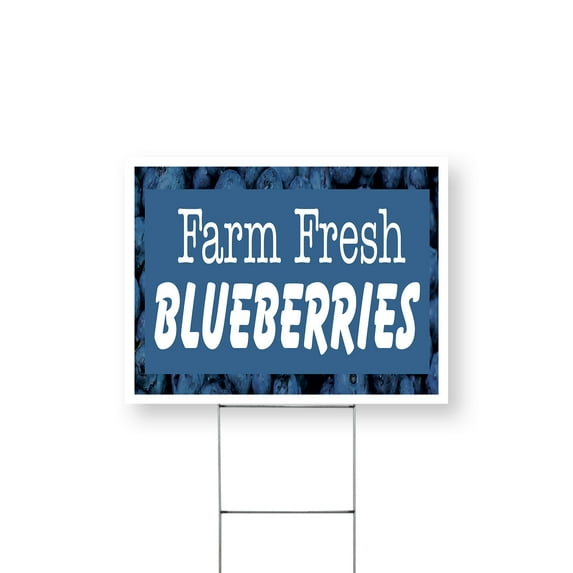 Farm Fresh Blueberries Yard Sign 12 Inch x 16 Inch Double Sided Weatherproof Heavy-Duty Plastic with Stake | Sweet Berries, Farmer’s Market, Seasonal Offers | Made in USA