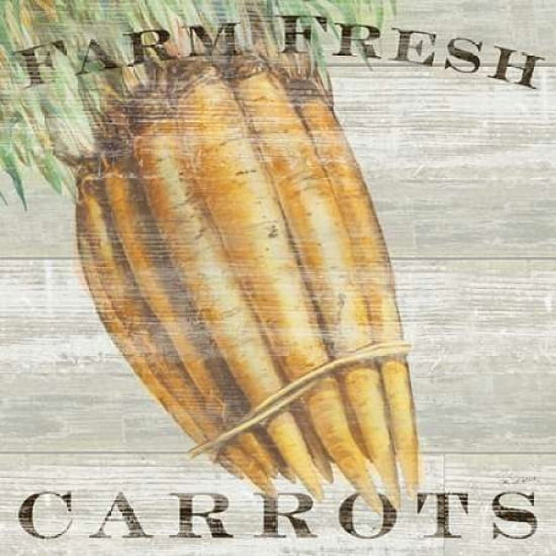 Farm Fresh Carrots Canvas Art - Sue Schlabach (24 x 24)