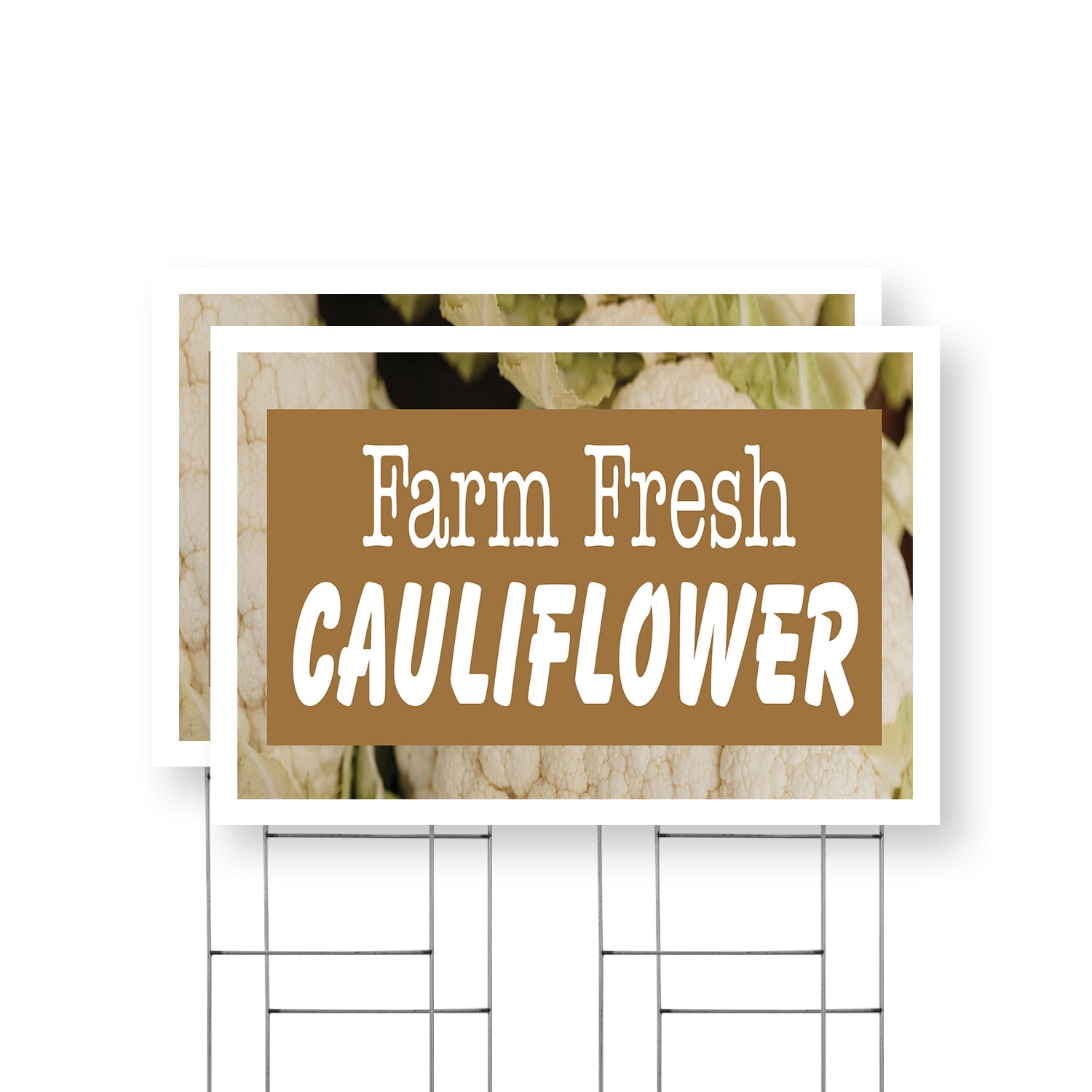 Farm Fresh Cauliflower Yard Sign 2 Pack of 24 Inch x 36 Inch Single ...