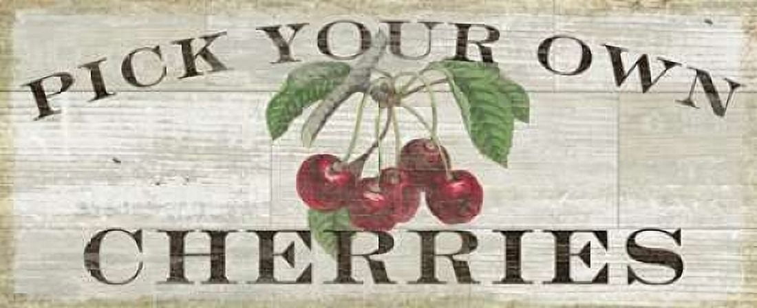 Farm Fresh Cherries Canvas Art - Sue Schlabach (24 x 48)
