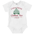 thumbnail image 1 of Farm Fresh Christmas Trees Truck Baby Romper Boys or Girls Brisco Brands NB, 1 of 6