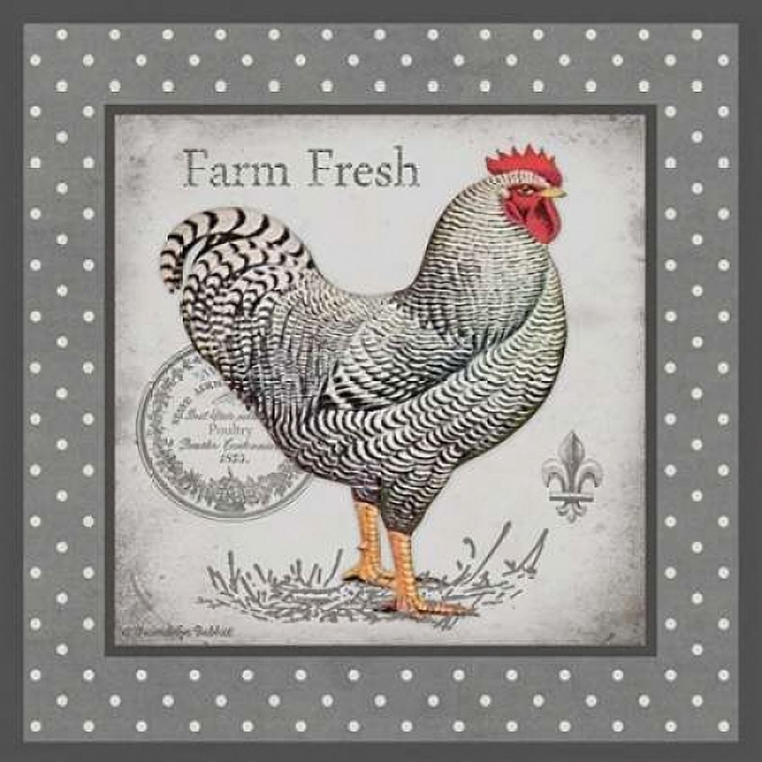 Farm Fresh Eggs I Canvas Art - Gwendolyn Babbit (24 x 24)