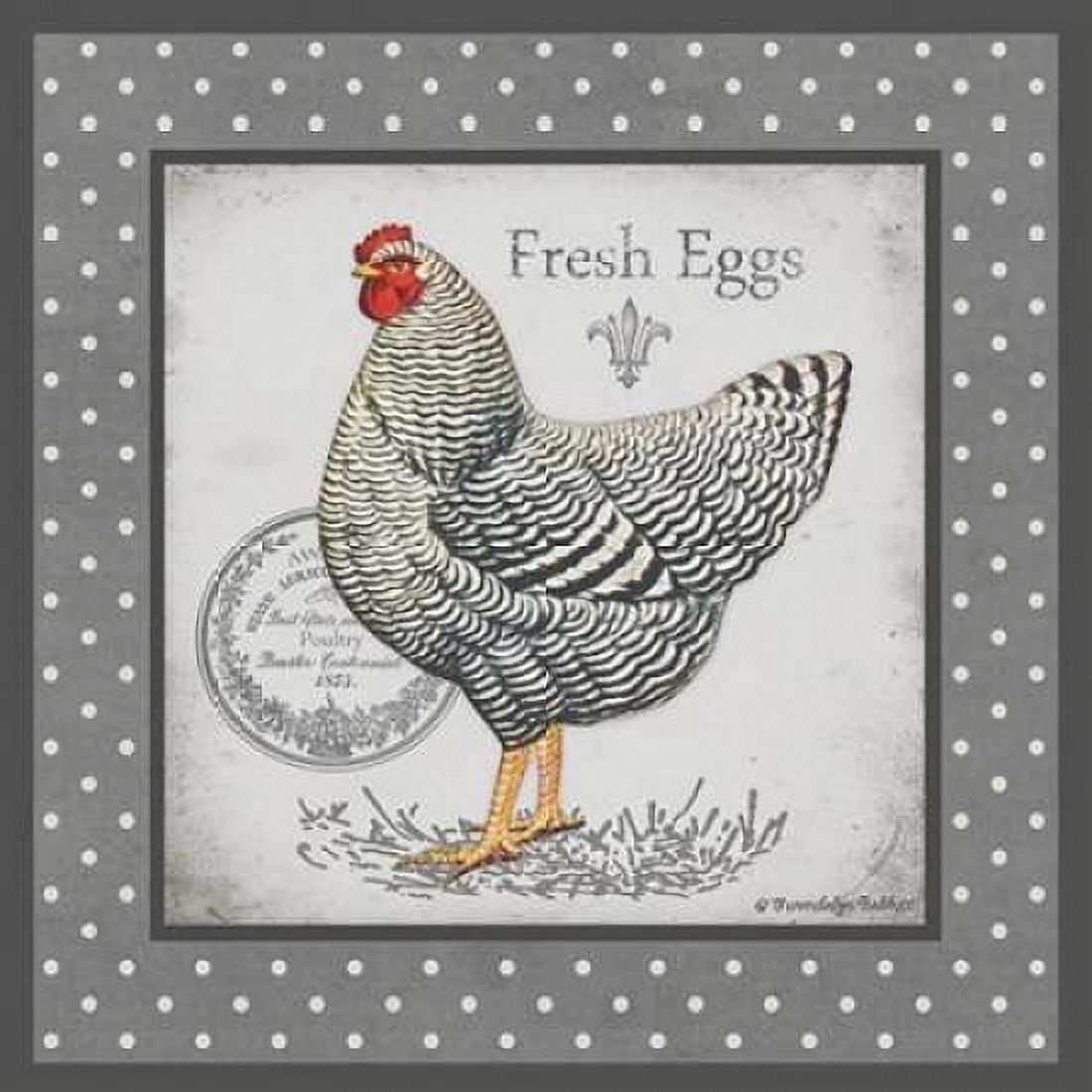 Farm Fresh Eggs II Canvas Art - Gwendolyn Babbit (24 x 24)
