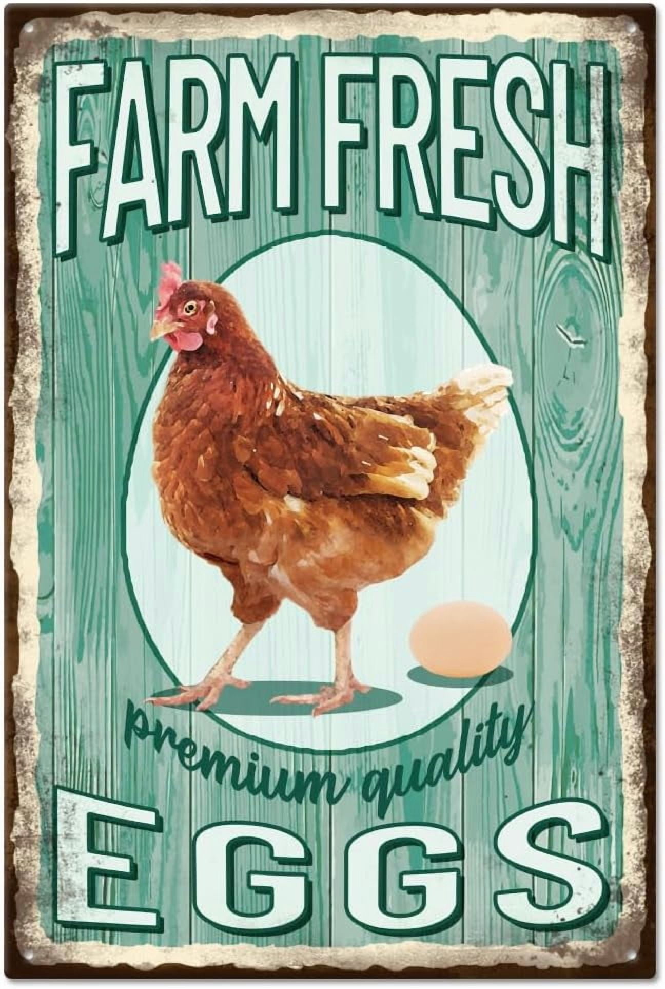 Farm Fresh Eggs Metal Signs Farm Fresh Eggs Signs 8x12inch Funny ...