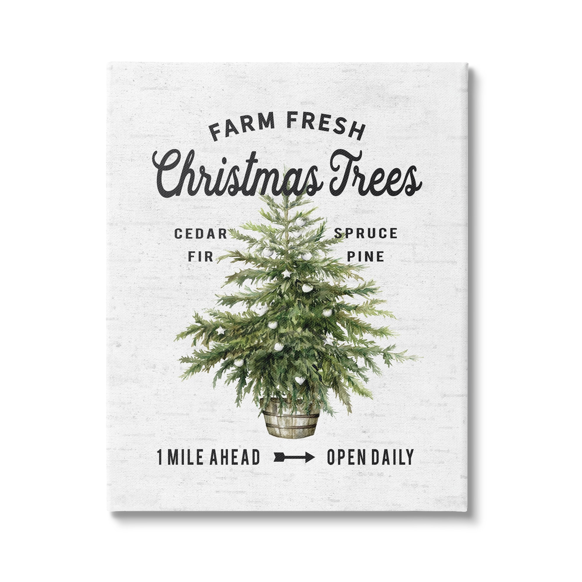 Farm Fresh Fir & Pine Christmas Advertisement Sign Botanical & Floral Graphic Art Gallery-Wrapped Canvas Print Wall Art