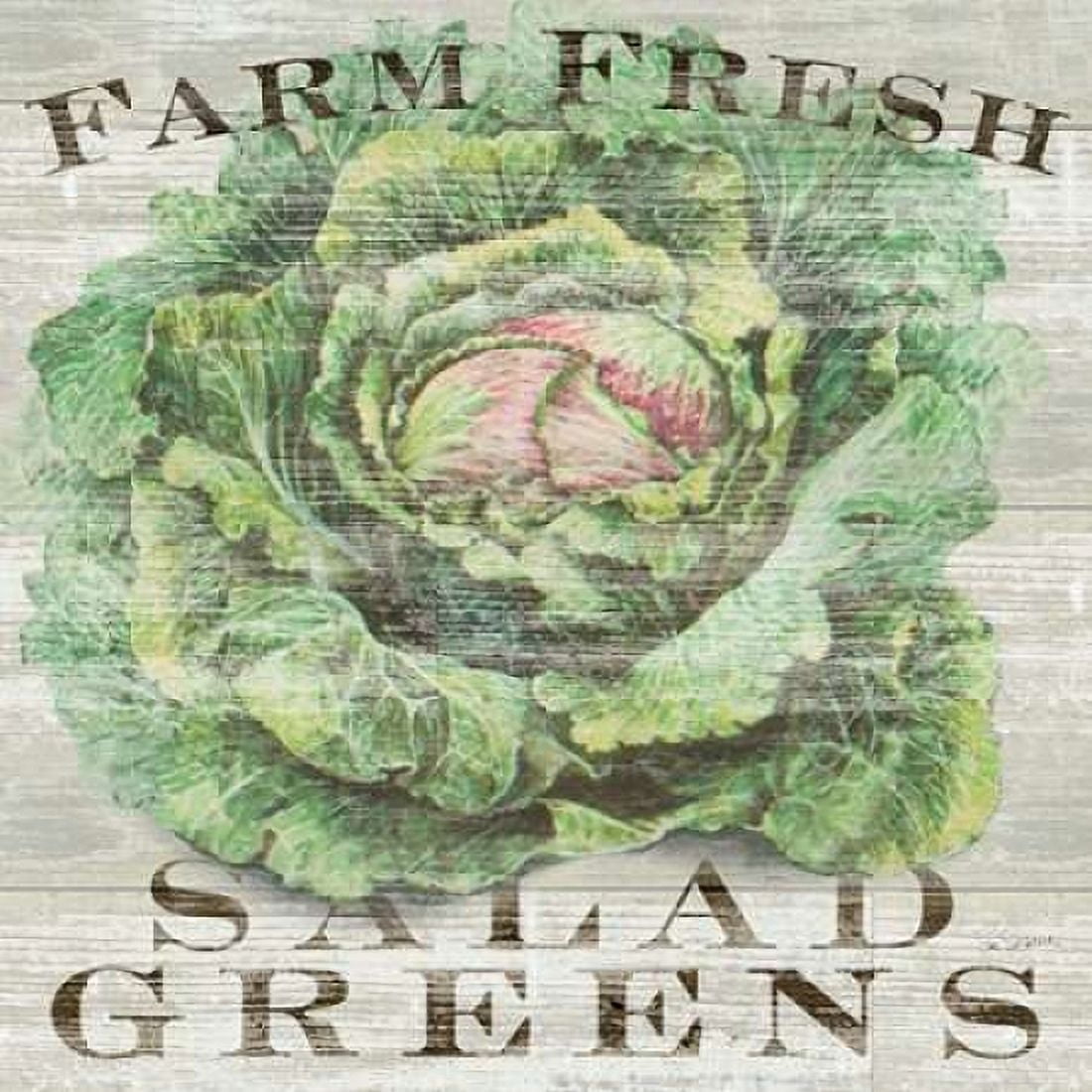Farm Fresh Greens Canvas Art - Sue Schlabach (24 x 24)