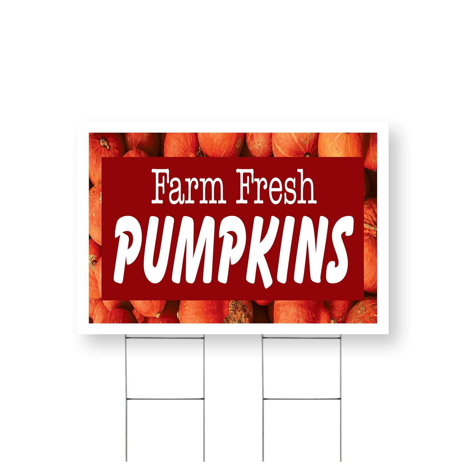 Farm Fresh Pumpkins Yard Sign 24 Inch x 36 Inch Single Sided ...