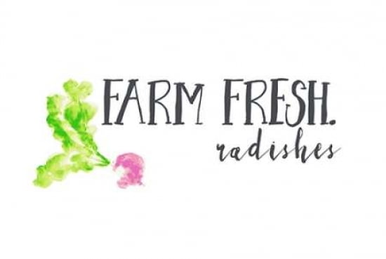 Farm Fresh Radishes II Canvas Art - Pamela J Wingard (24X36)