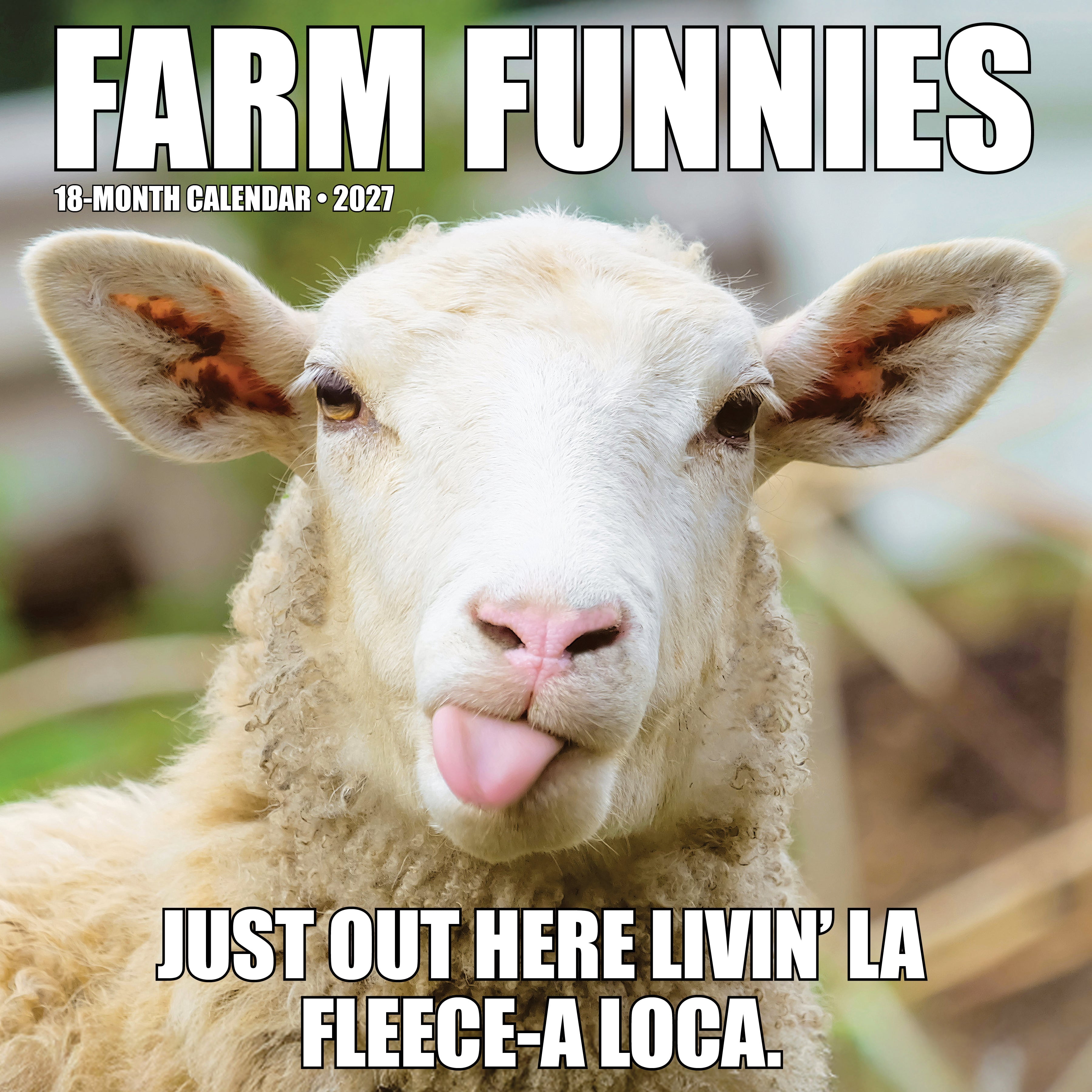 Willow Creek Press, Farm Funnies 2027 Wall Calendar