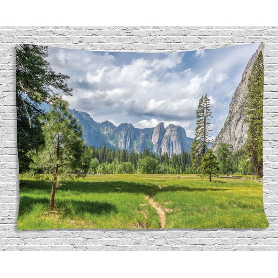 Farm House Decor Tapestry, Yosemite Valley Meadows with Trees Fluffy Clouds Cliff Tourist Picture, Wall Hanging for Bedroom Living Room Dorm Decor, 60W X 40L Inches, Grey Green, by Ambesonne