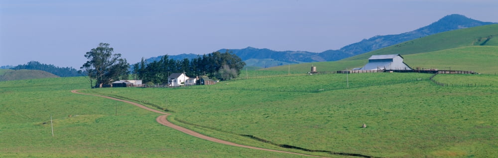 Farm House and Barn in Spring Route 1 near Cambria California Canvas Art - Panoramic Images (36 x 12)