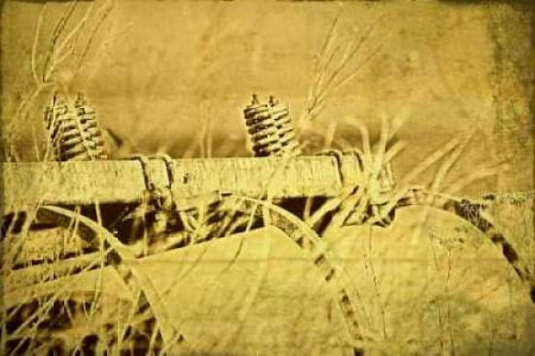 Farm Implement Canvas Art - C Thomas McNemar (24 x 36)