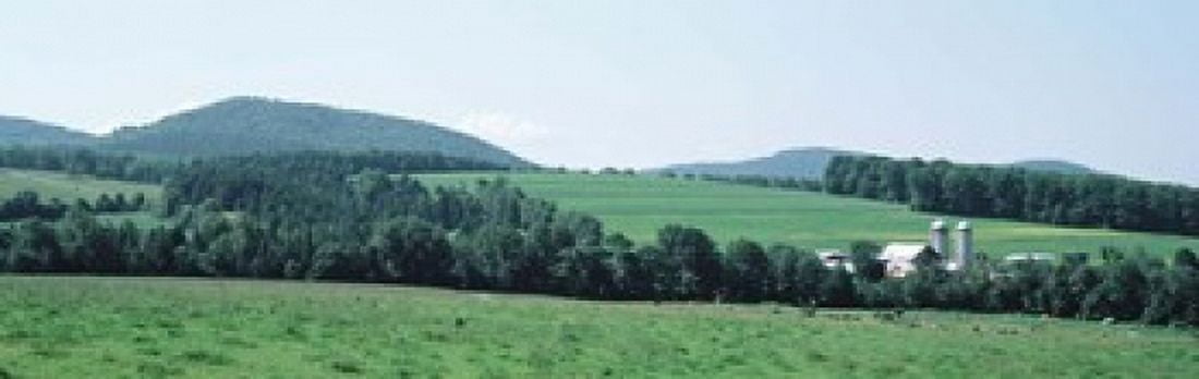 Farm In A Field Danville Vermont USA Canvas Art - Panoramic Images (18 x 6)