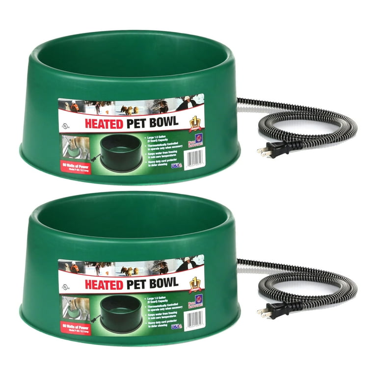 Heated dog dish cheap