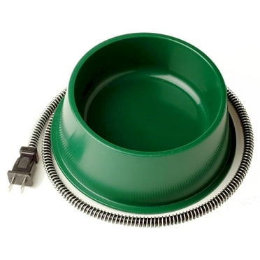 Farm Innovators 1 Quart Electric Heated Pet Water Bowl, 25 Watt, Green