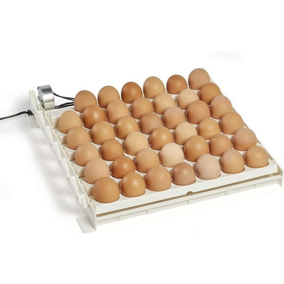 Farm Innovators 3200 Automatic 41 Spot Egg Turner, Eliminate Manual Handling & Improve Hatching Rate